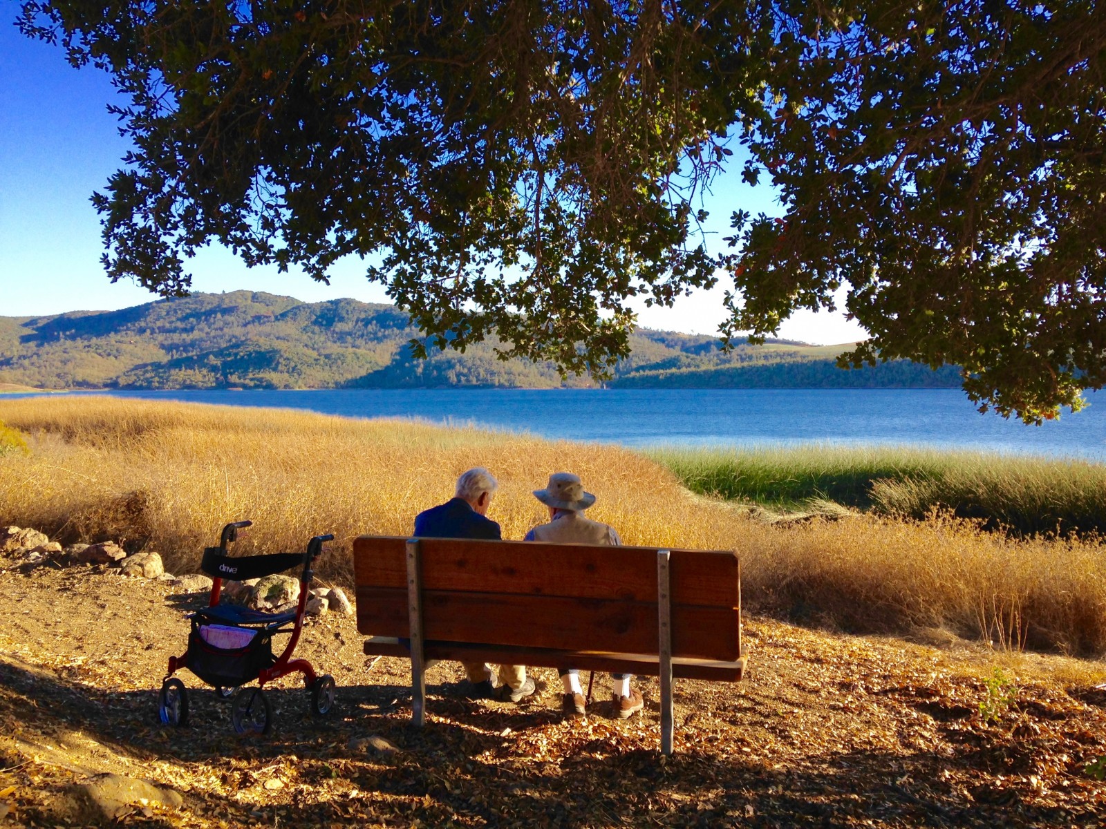 Moore Creek Park Napa Outdoors