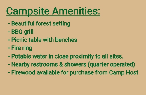 Campsite Amenities List
