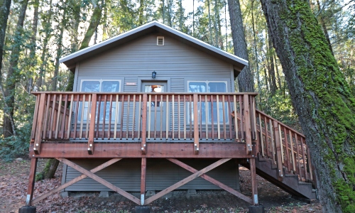 Madrone Cabin