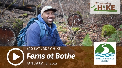 3rd Saturday Hike: Ferns at Bothe