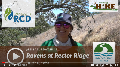 3rd Saturday Hike: Ravens