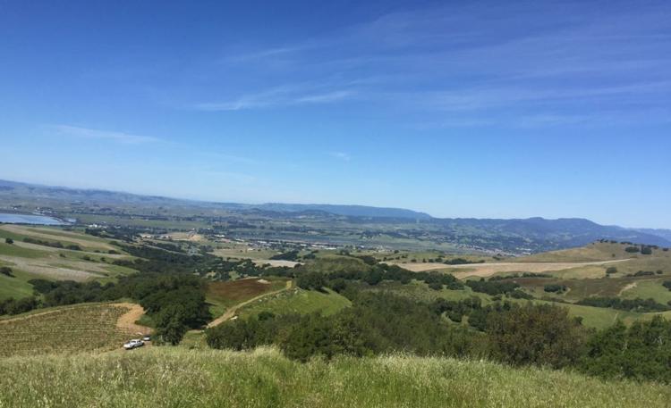 Suscol Headwaters Preserve in the hills between Napa and American Canyon should be the site of the next segments of Napa County's Bay Area Ridge Trail. When it opens, hikers will see views like this.