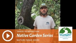 Native Garden Series