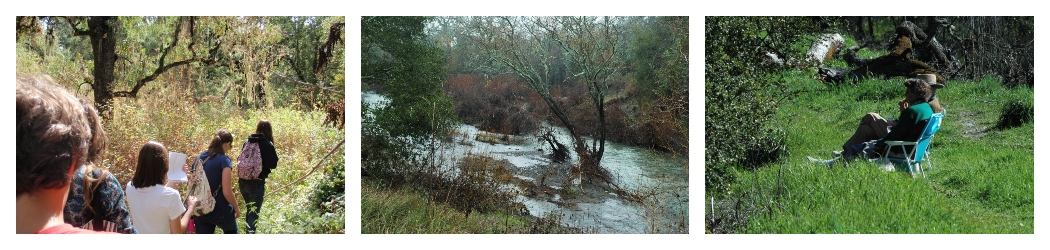 Napa River Ecological Reserve collage