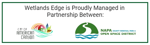 Wetlands Edge Partners