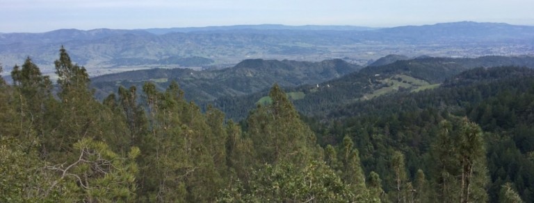 The Cove Napa Outdoors
