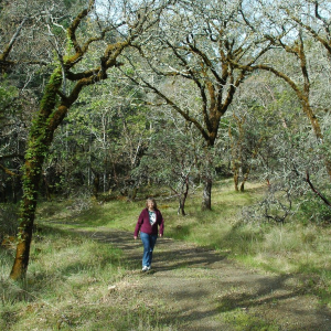 Hike at Bothe-Napa Valley State Park