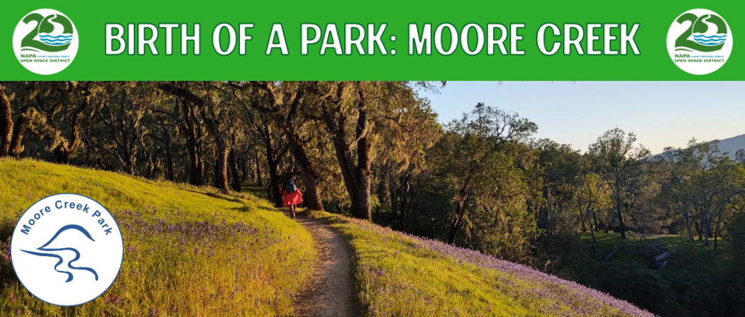 Photo fo a hiker in Moore Creek Park with the Moore Creek Park logo and a heading that reads Birth of a Park: Moore Creek Park with two 20th anniversary NOSD logos